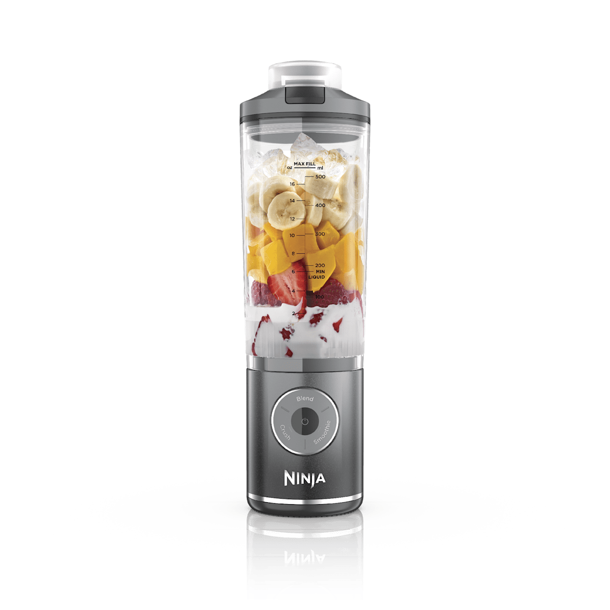 Ninja Blast Max Portable Blender in Cool Grey | BC251GY | SharkNinja