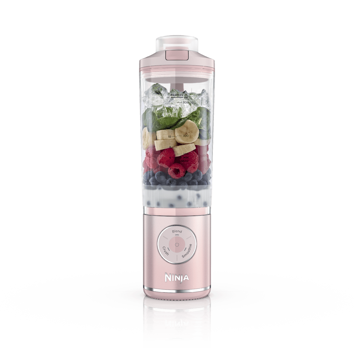 Ninja Blast Max Portable Blender in Dusty Pink | BC251PK | SharkNinja