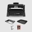Ninja Woodfire&reg; Outdoor Grill & Smoker