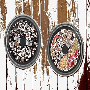 Ninja&reg; Coffee & Spice Grinder Blender Attachment