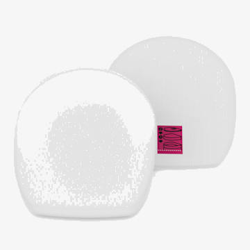 Pre-Motor Foam and Felt Filter Kit