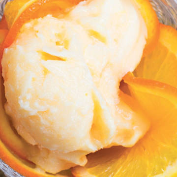 Creamsicle Frozen Yogurt