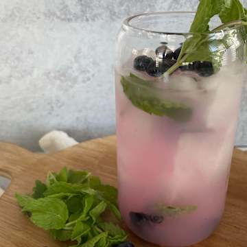 Blueberry Mojito Mocktail