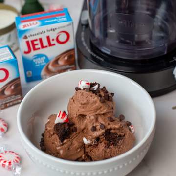 Peppermint Death by Chocolate Ice Cream