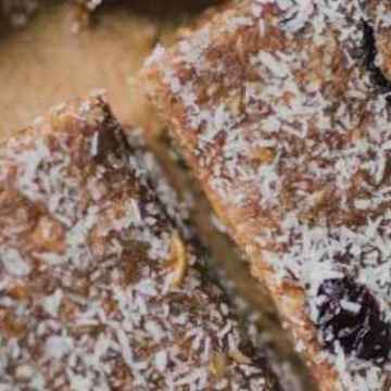 Cranberry Oat Protein Bars