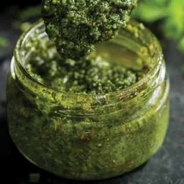 Kale Pulp Pesto