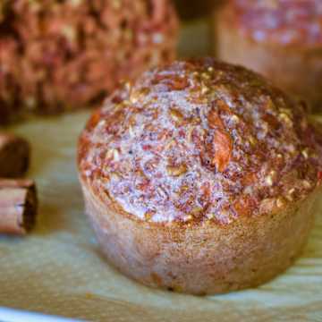 Protein Carrot Bites