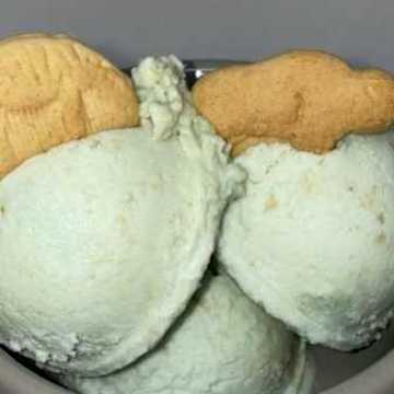 Fruity ZOOchini Ice Cream