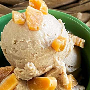 Dairy-Free Agave Gelato