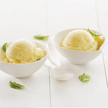 Mint & Lemon Sorbet
