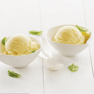 Lemon Lime Sorbet