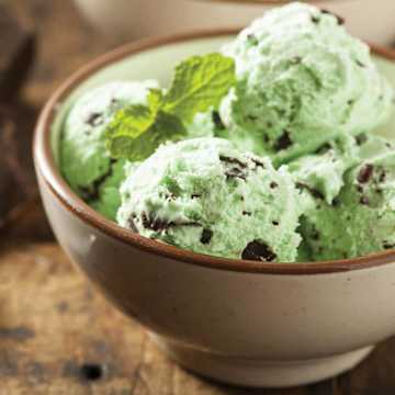 Mint Chocolate Sorbet