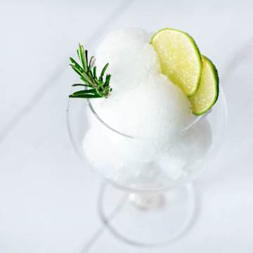 Gin & Tonic Sorbet