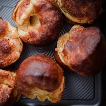 Yorkshires