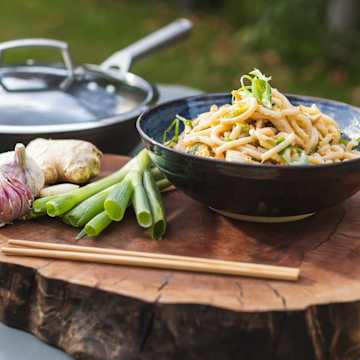Quick Chicken Noodles, Sake & Spring Onion