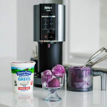 Blueberry Honey Ice Cream with Graham Crackers