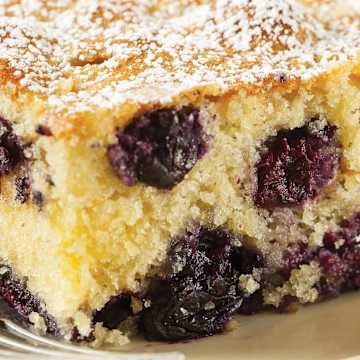 Blueberry Coffee Cake with Crumble Topping