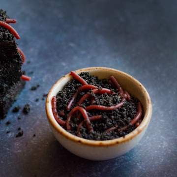 Direct Worm Brownies