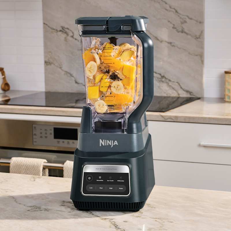 Ninja TotalCrush High Powered-Blender in Velvet Tide | SharkNinja