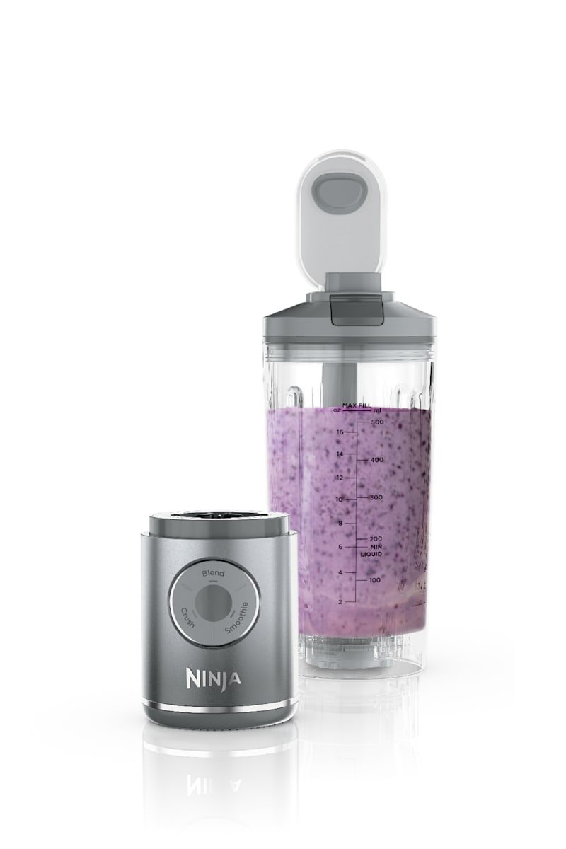Ninja Blast™ Max Portable Blender in Silver