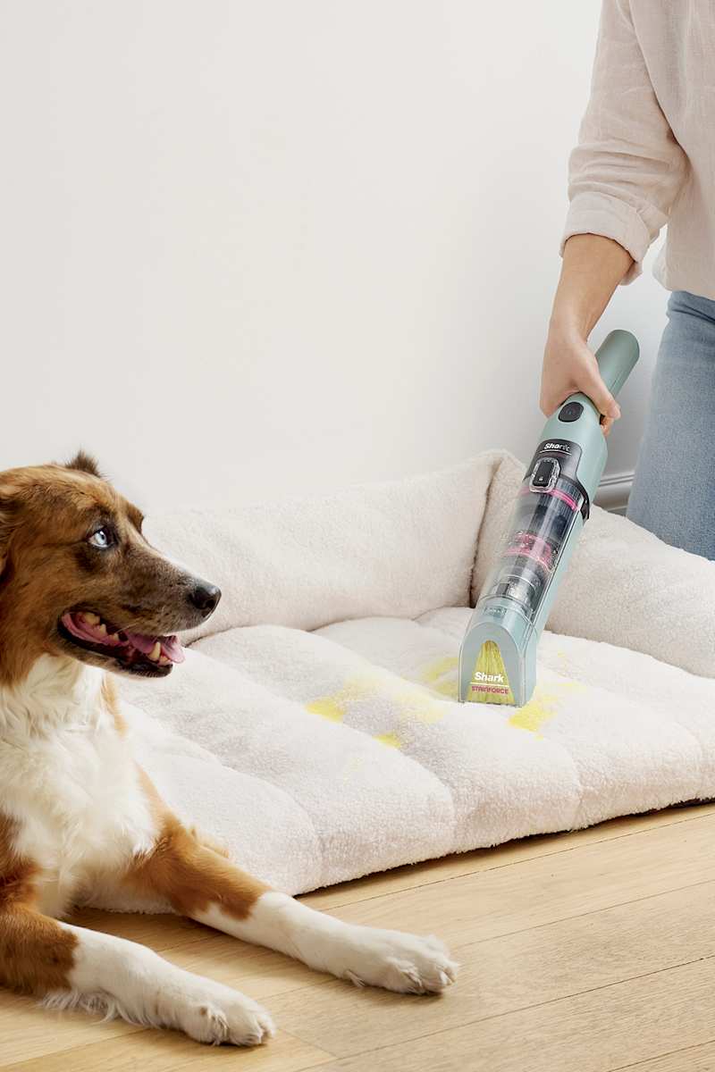 Shark StainForce™ Portable Spot Cleaner and Stain Cleaner | SharkNinja