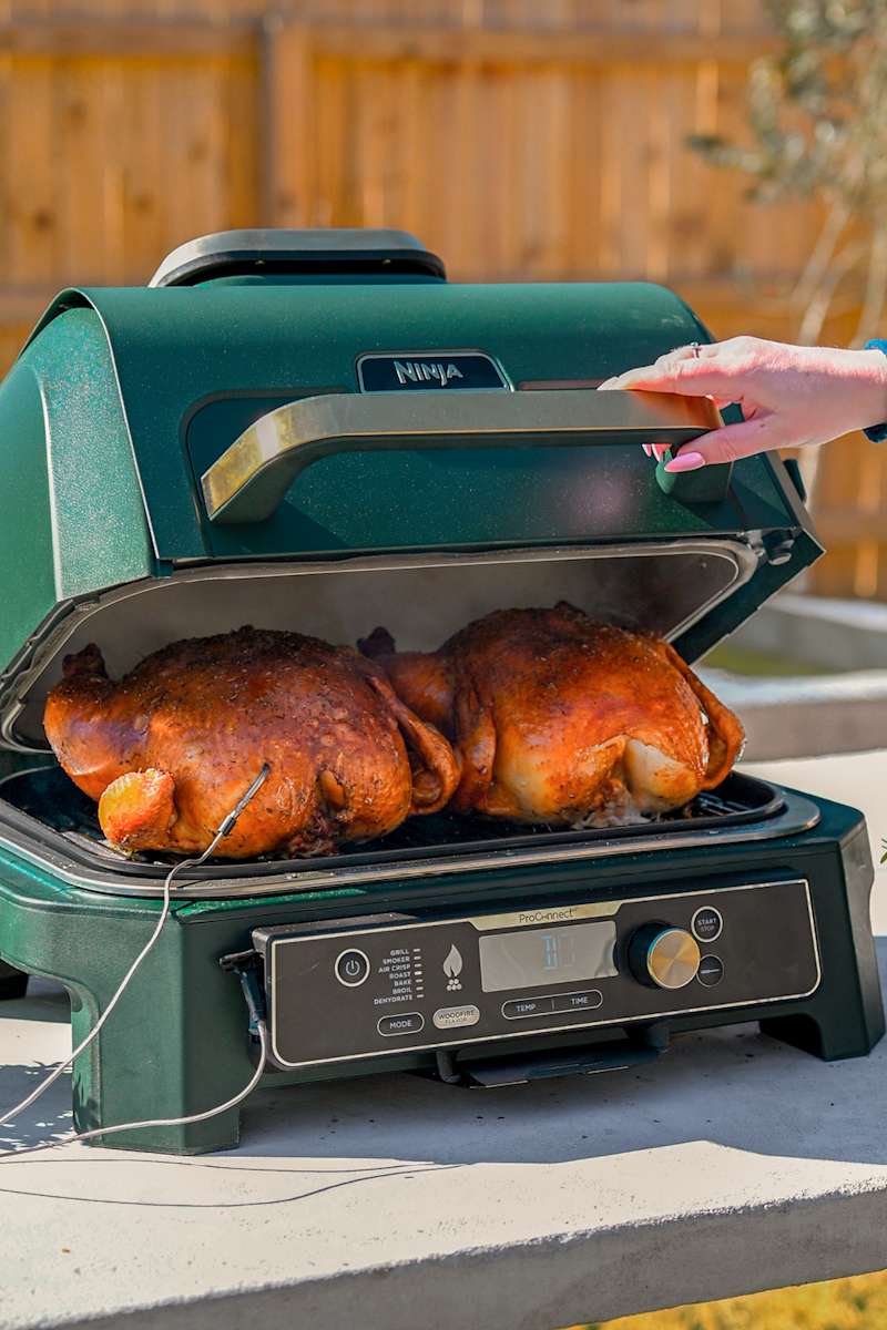 Ninja Woodfire Premium XL BBQ Grill in Green and Gold | SharkNinja