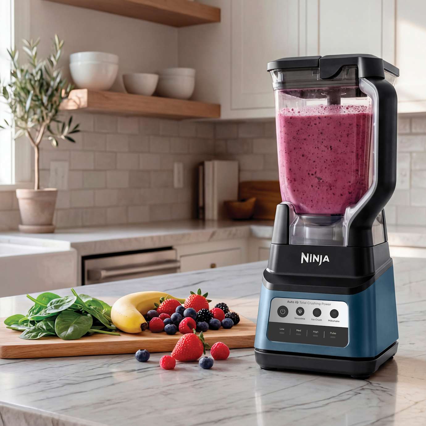 Ninja® Professional Plus Blender with Auto-iQ® Blenders & Kitchen