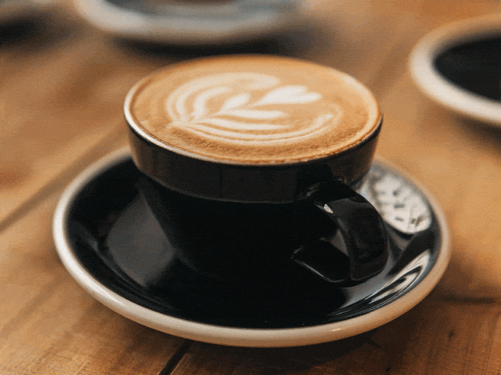 Vid&eacute;o pr&eacute;sentant diff&eacute;rents caf&eacute;s.