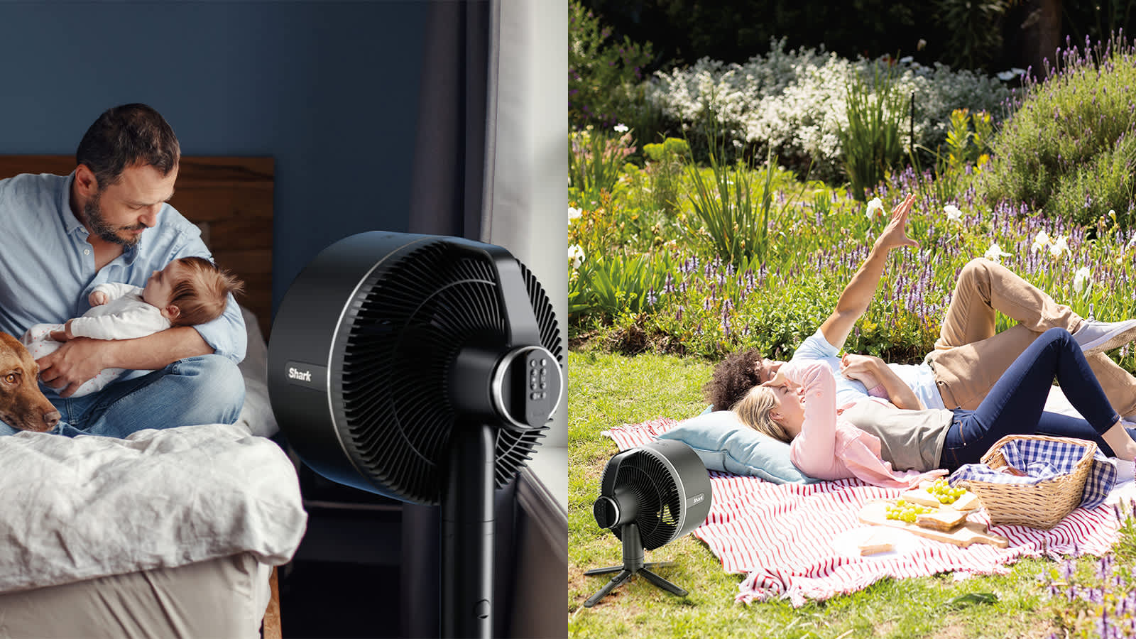 Shark FlexBreeze Portable Fan FA220UK product image