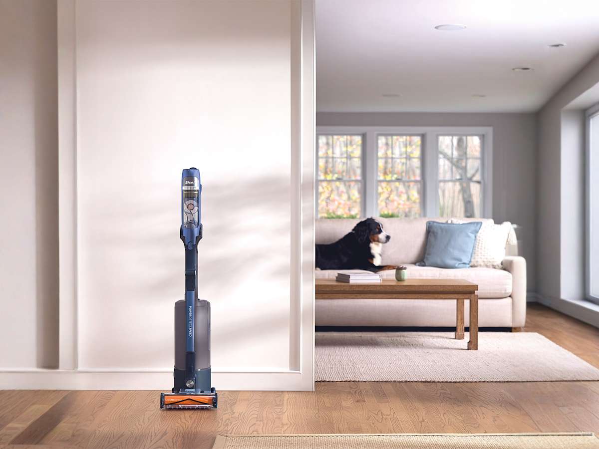 Aspirateur sans fil sur sa base, avec un chien sur un canap&eacute; en arri&egrave;re-plan.
