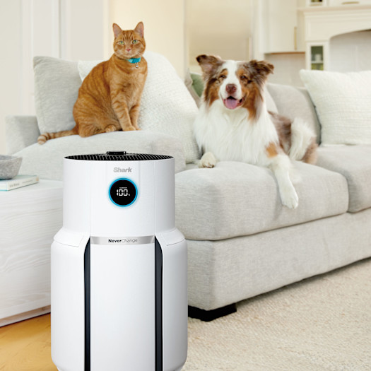 Image without a name