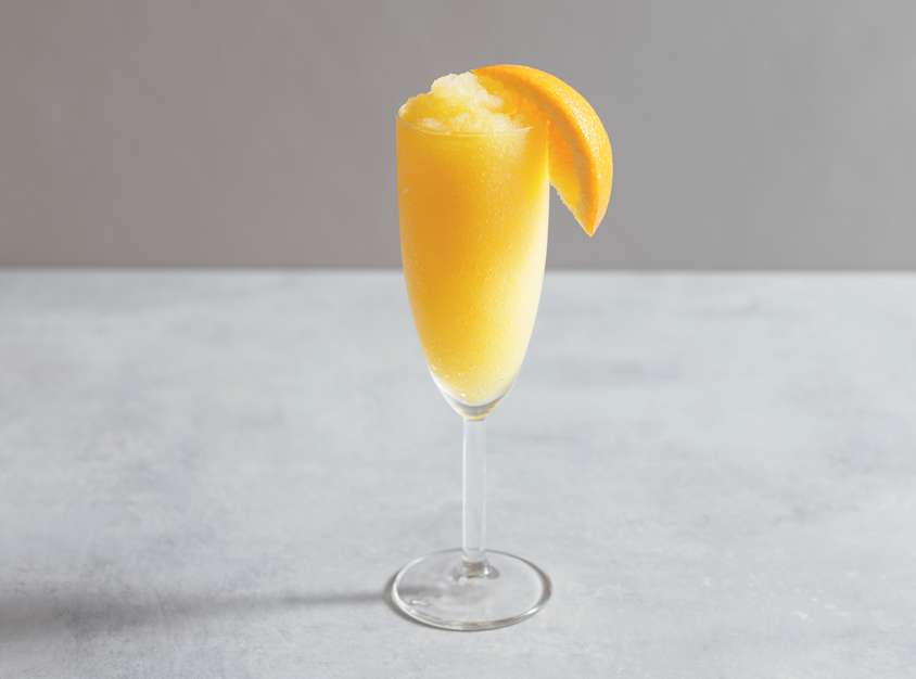 Frozen Mimosa