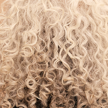 Ginger curly hair