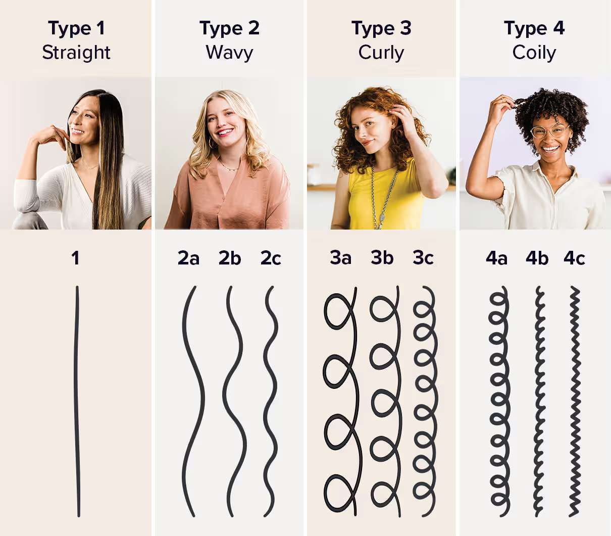 Infographic showing different hair types from 1 to 4c