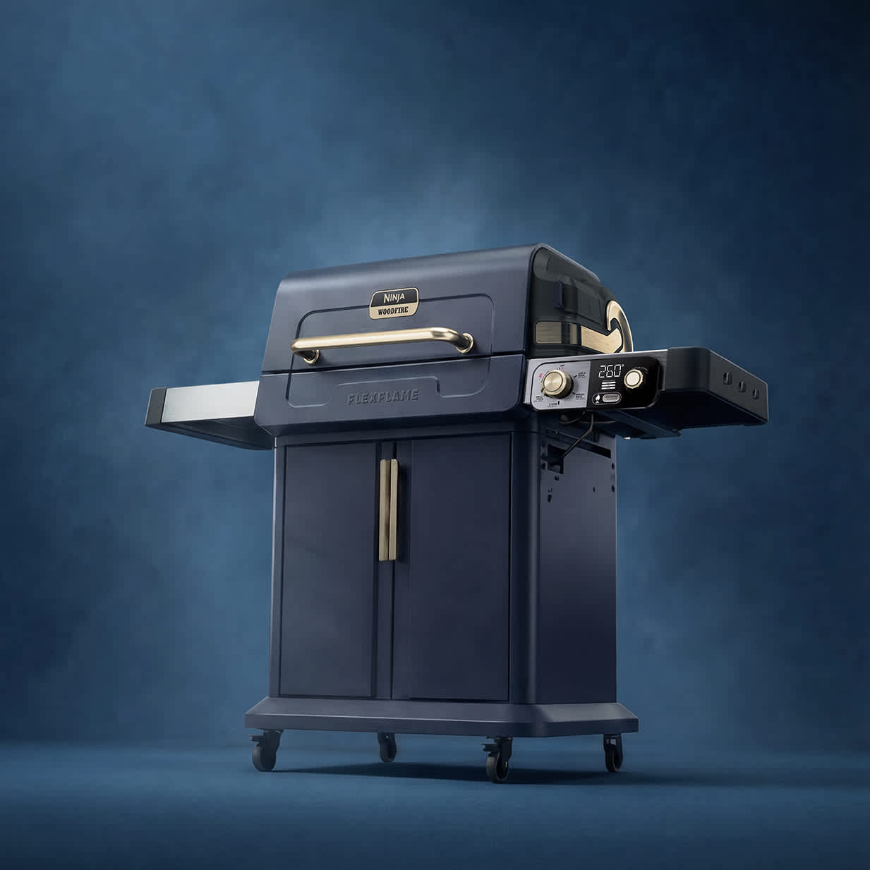 Propane Grill