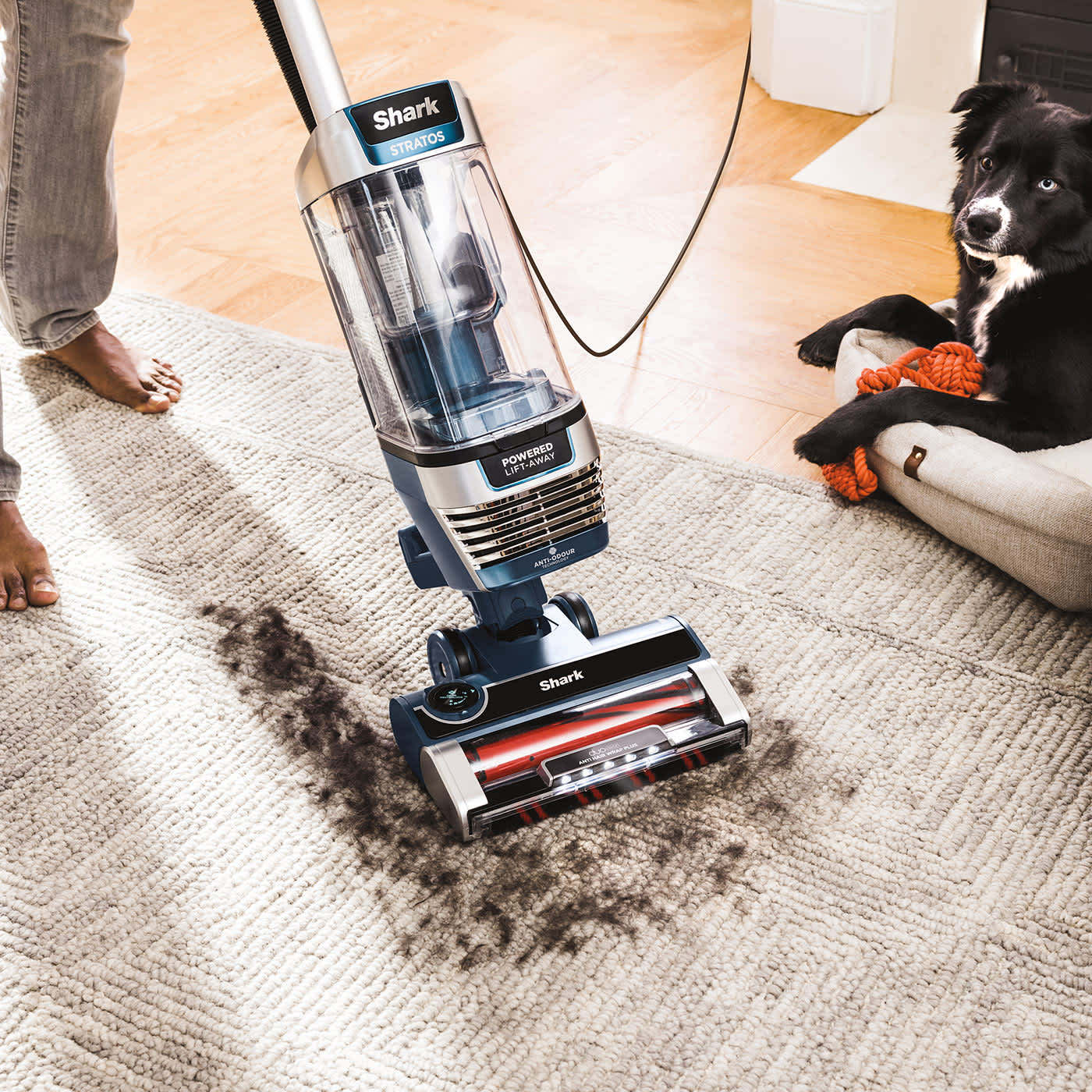Upright Vacuum Cleaner