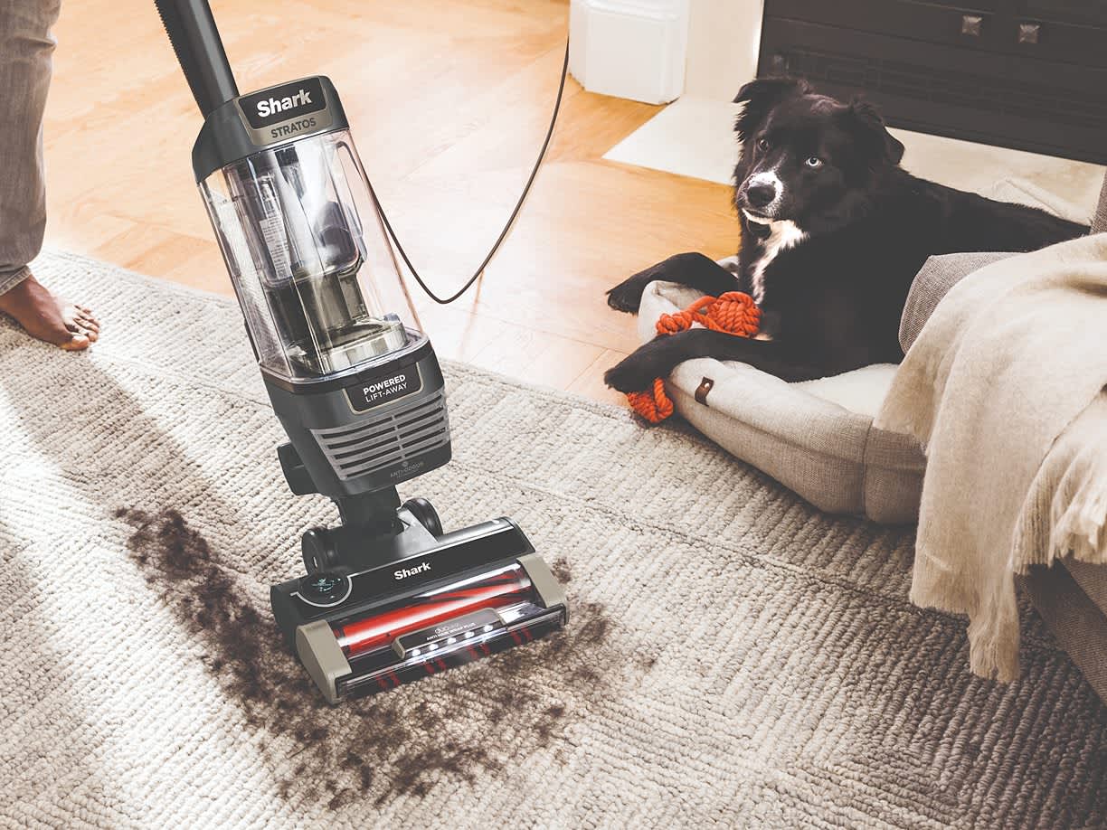 Upright Vacuum Cleaner
