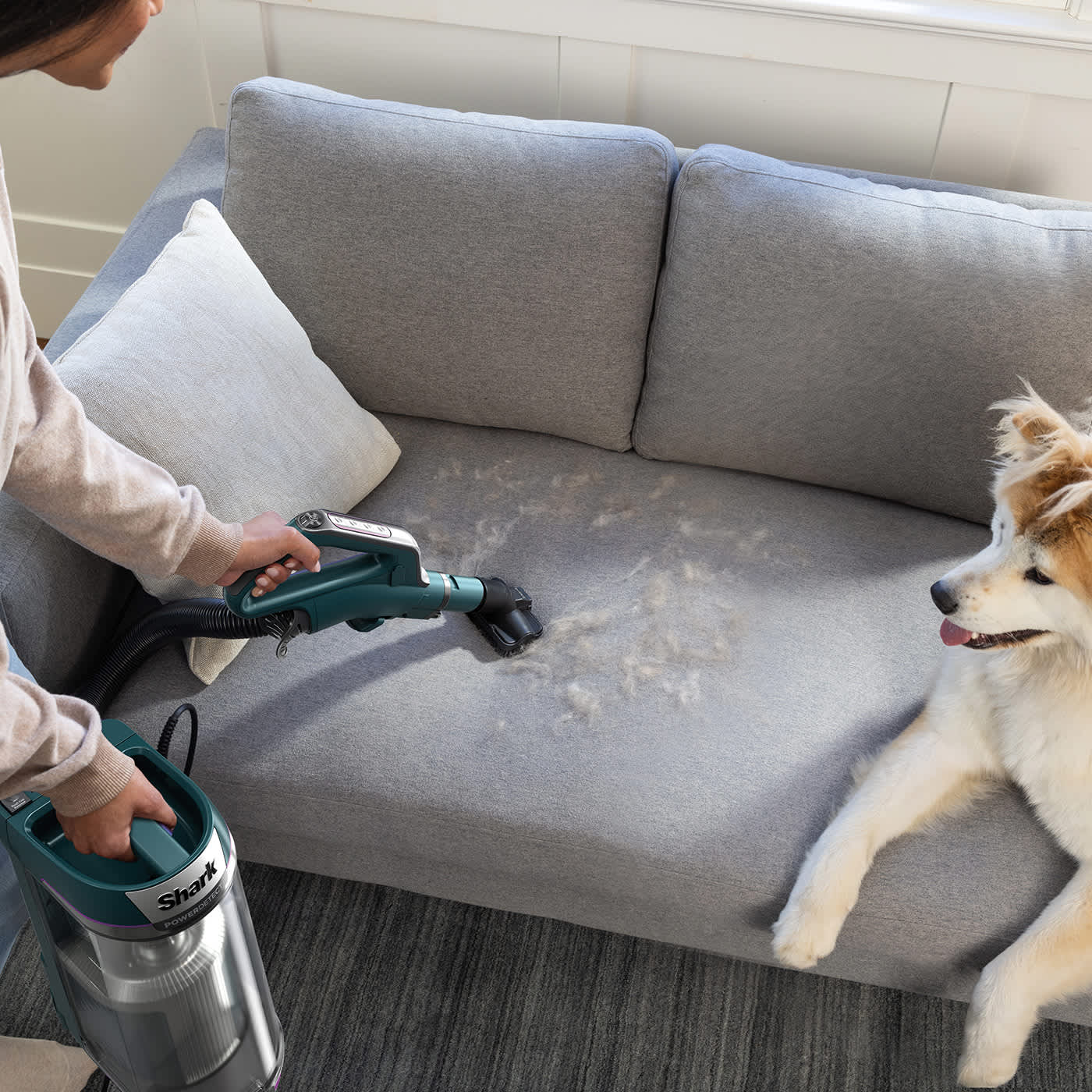 Upright Vacuum Cleaner