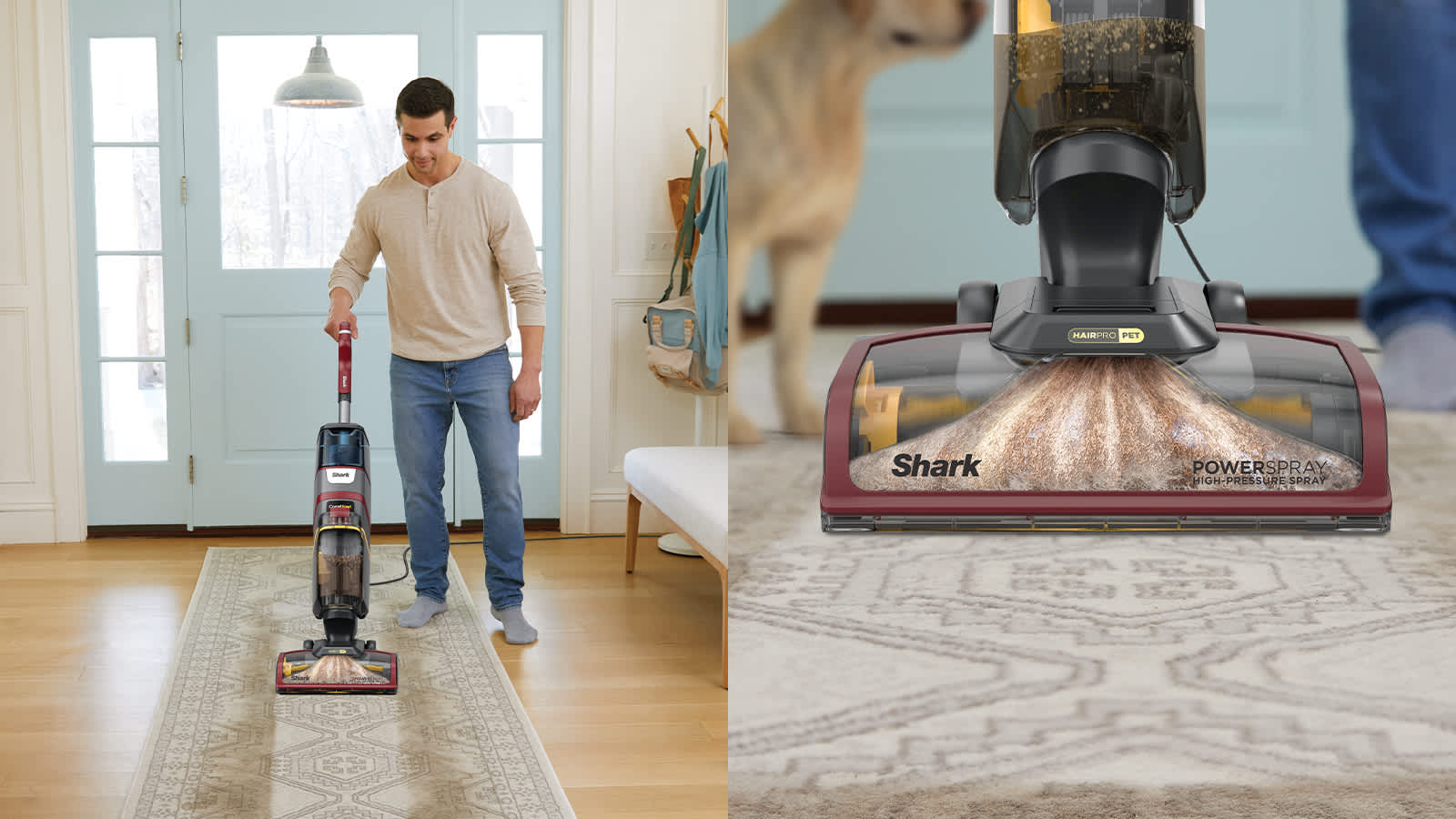 Carpet Cleaner