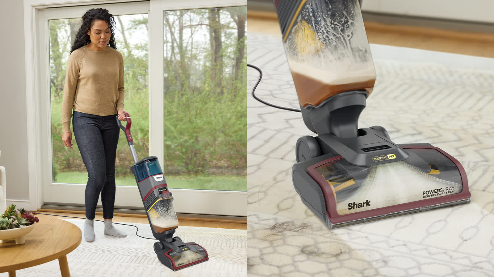 Carpet Cleaner