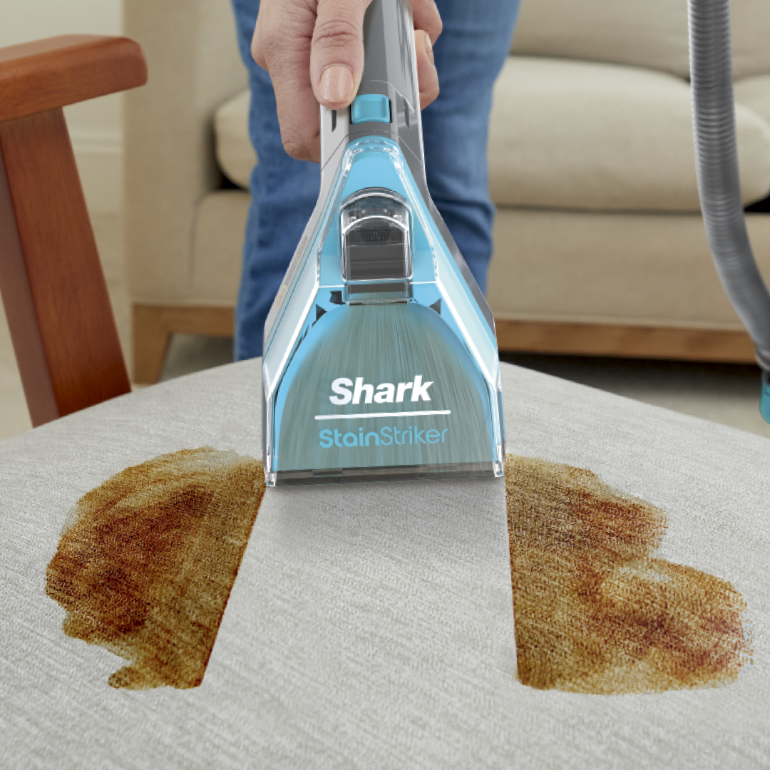 Carpet cleaner