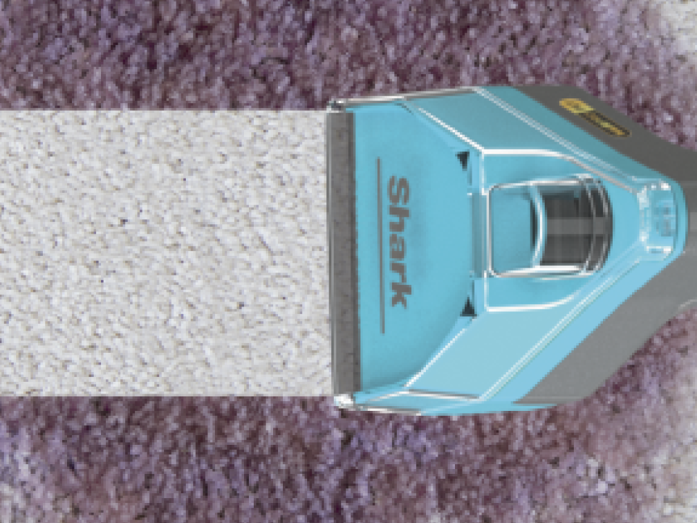 Carpet Cleaner