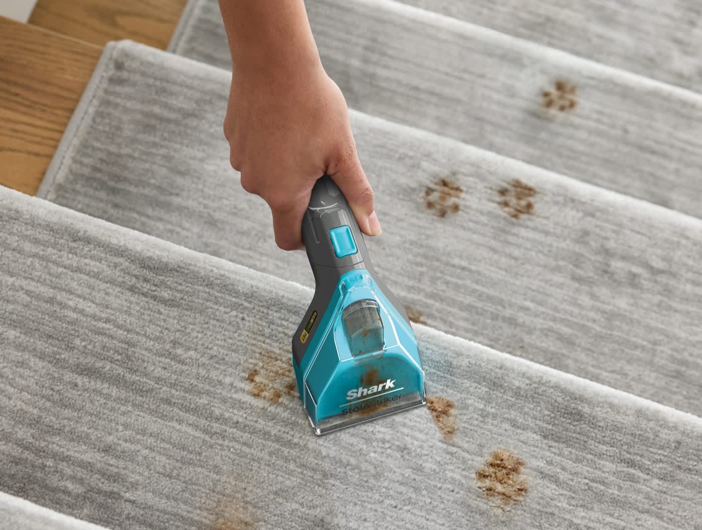 Carpet Cleaner