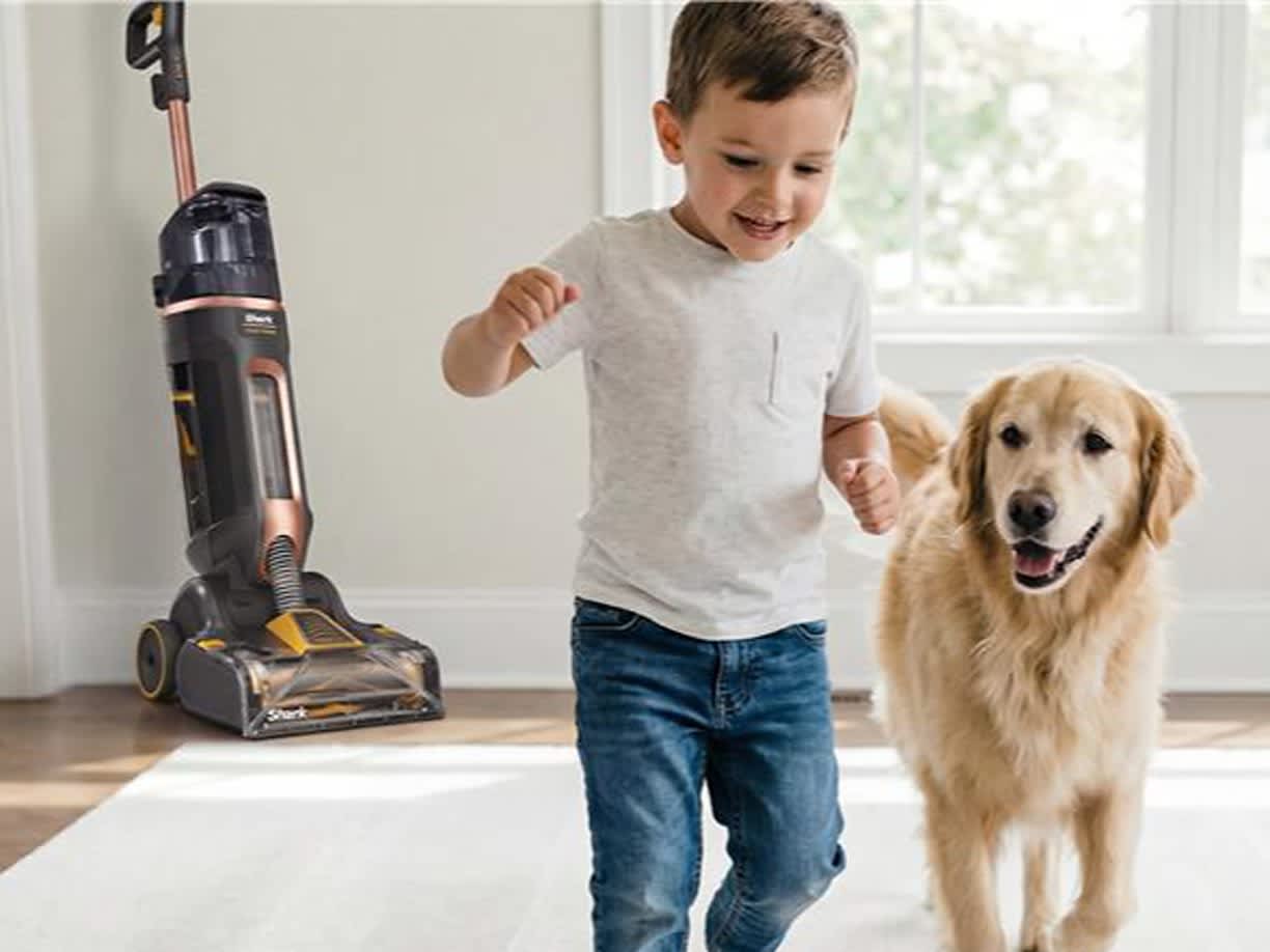Upright Vacuum Cleaner