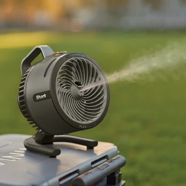 Fan