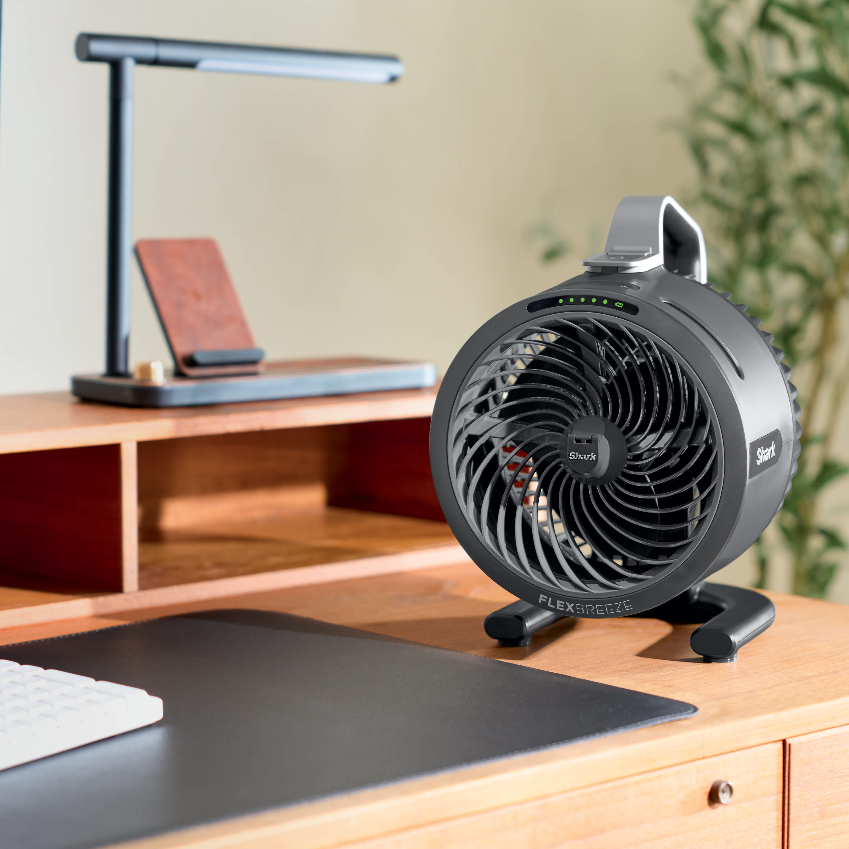 Fan