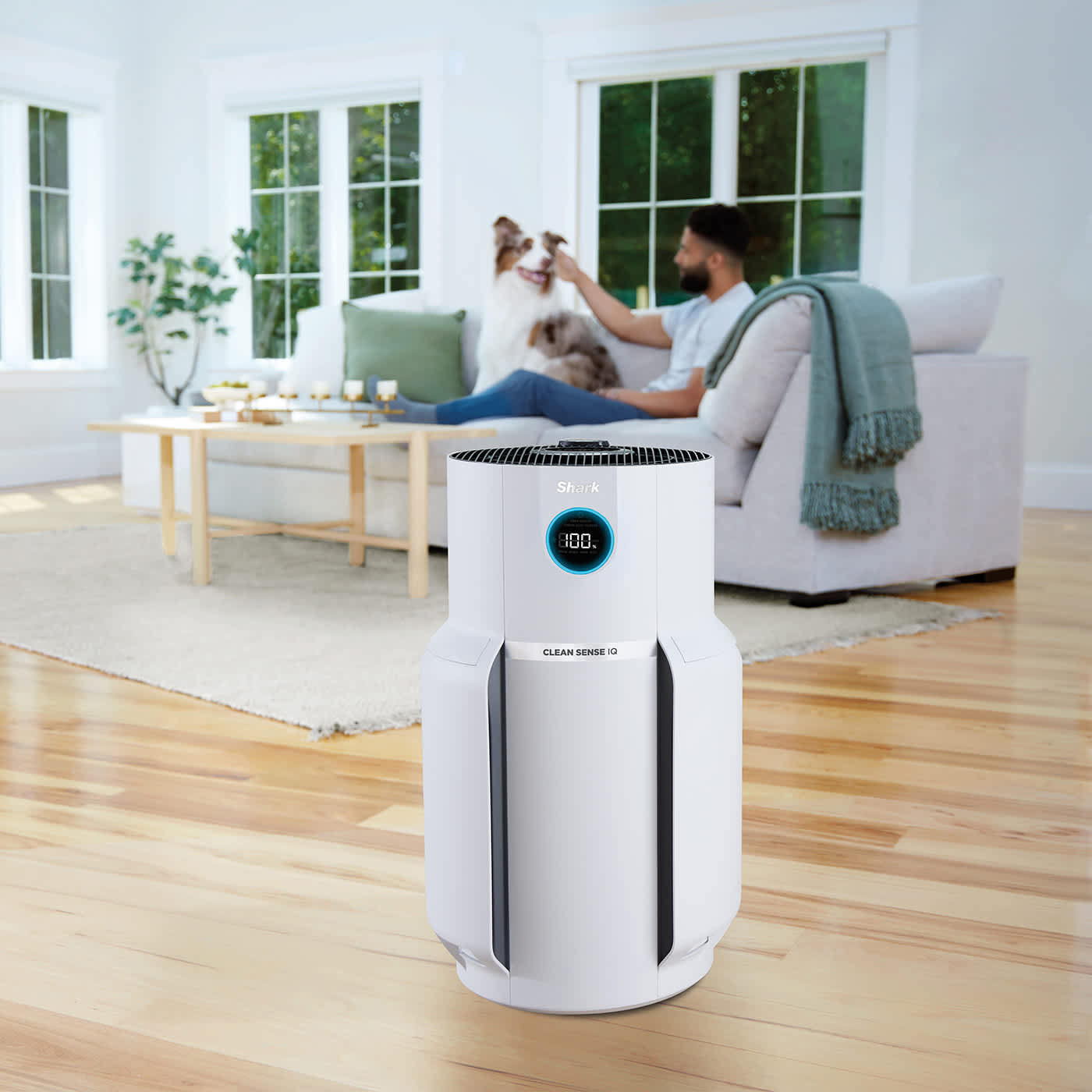 Purificateur d&rsquo;air pos&eacute; au sol.