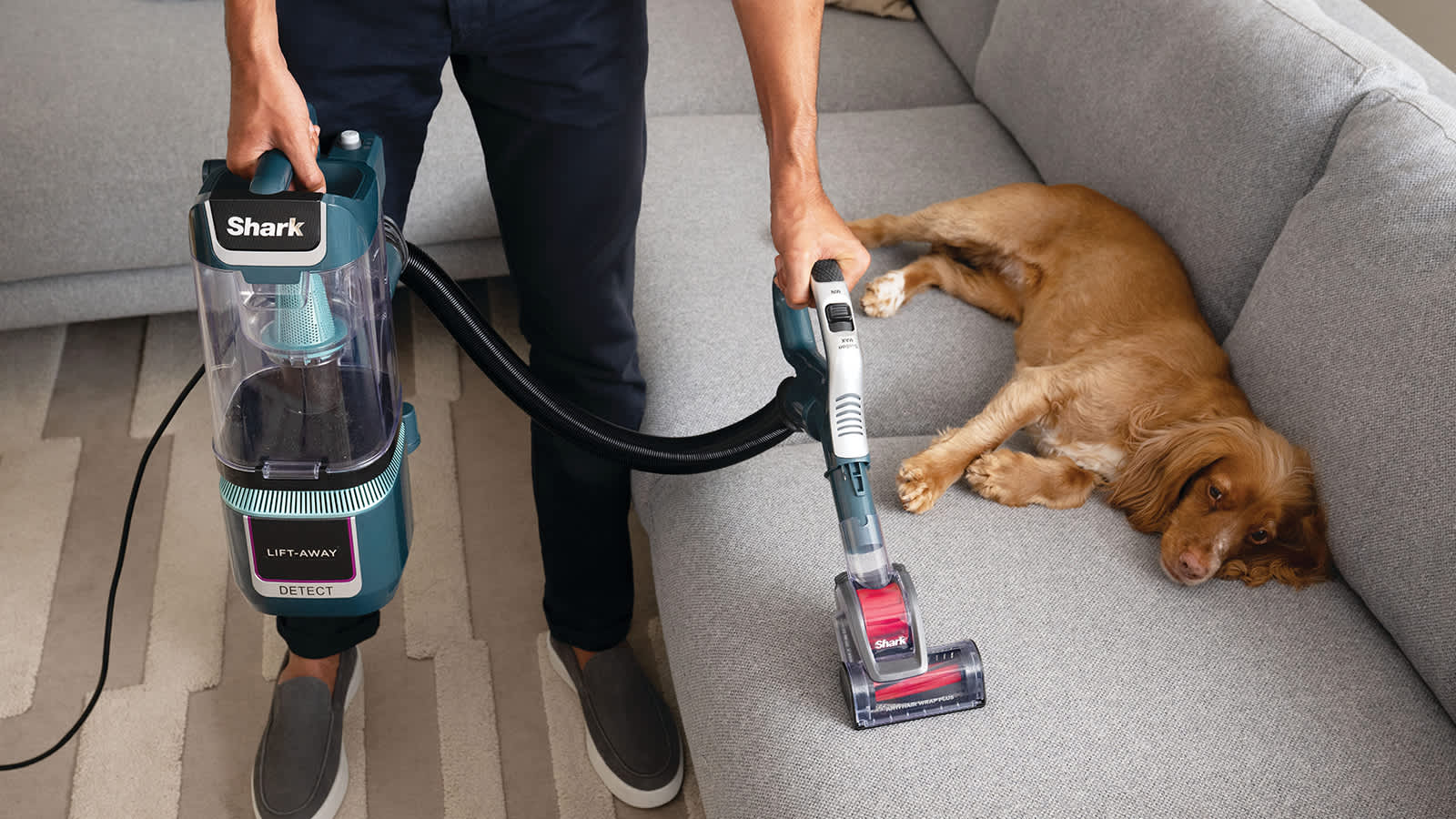 Upright Vacuum Cleaner