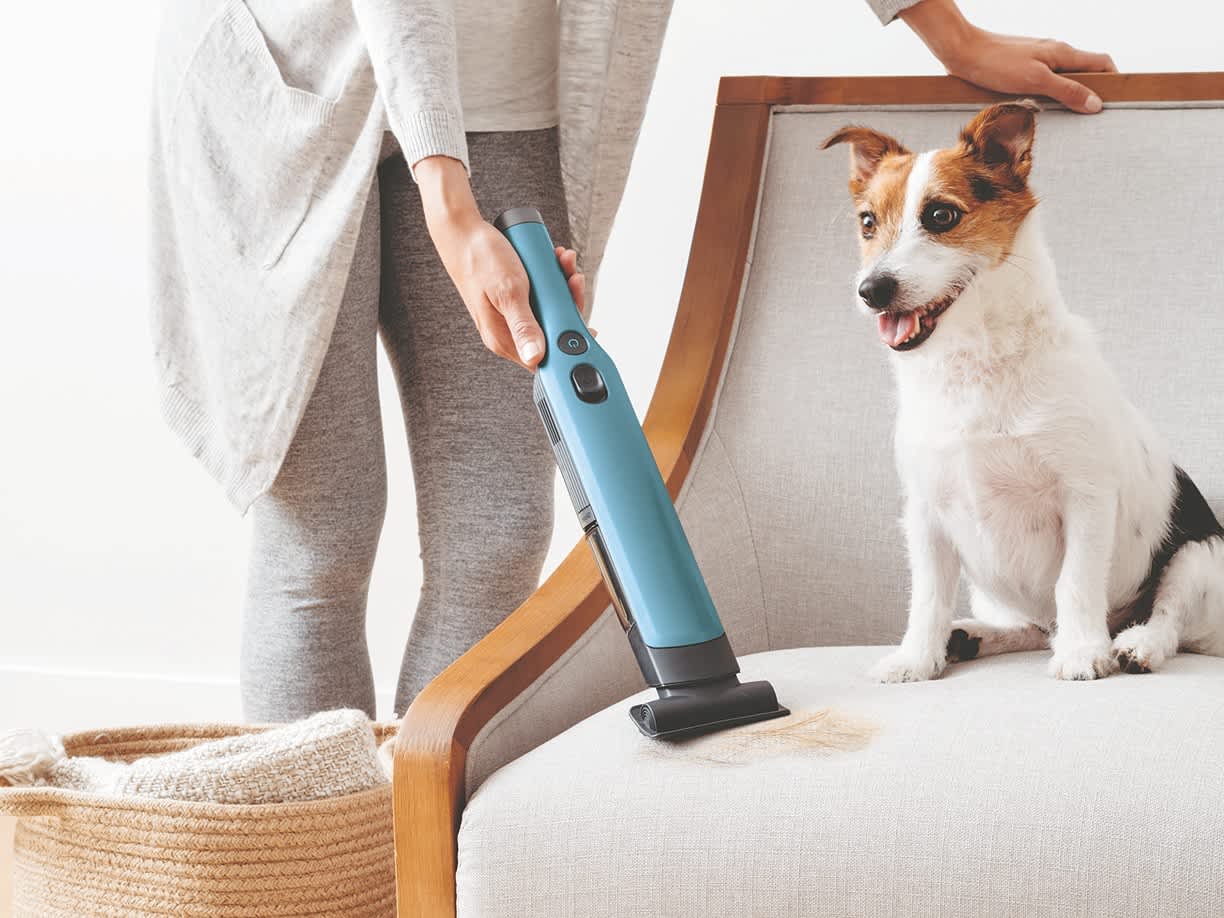 Handheld Vacuum