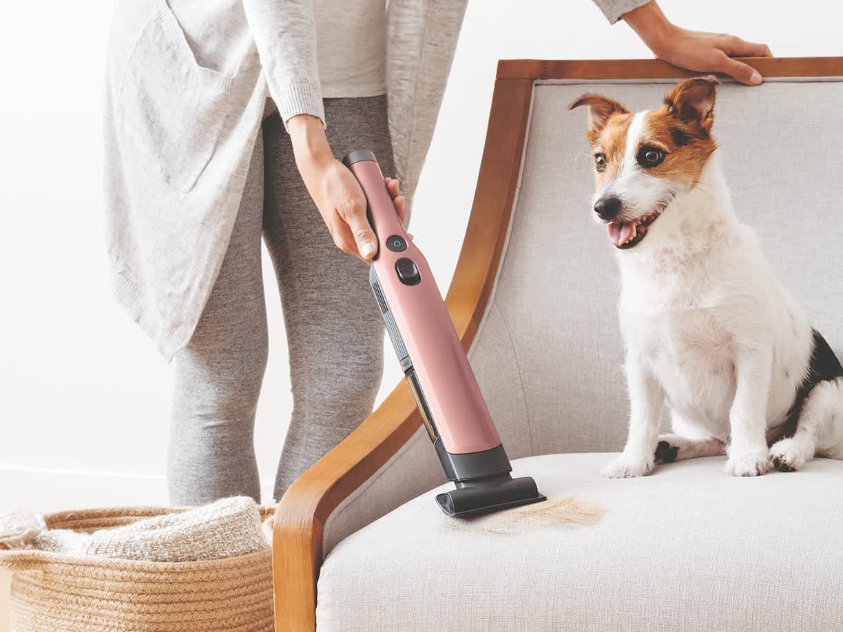 Handheld Vacuum